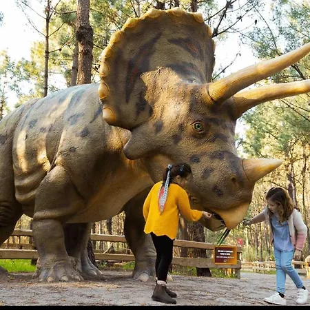 A - 1er Etage Apartment