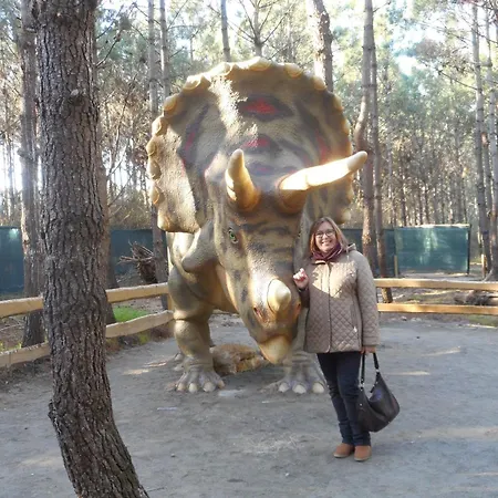 A - 1er Etage * Lourinhã